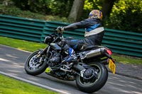 cadwell-no-limits-trackday;cadwell-park;cadwell-park-photographs;cadwell-trackday-photographs;enduro-digital-images;event-digital-images;eventdigitalimages;no-limits-trackdays;peter-wileman-photography;racing-digital-images;trackday-digital-images;trackday-photos